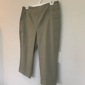 NWT Lark Lane stretchy sage capris 16.